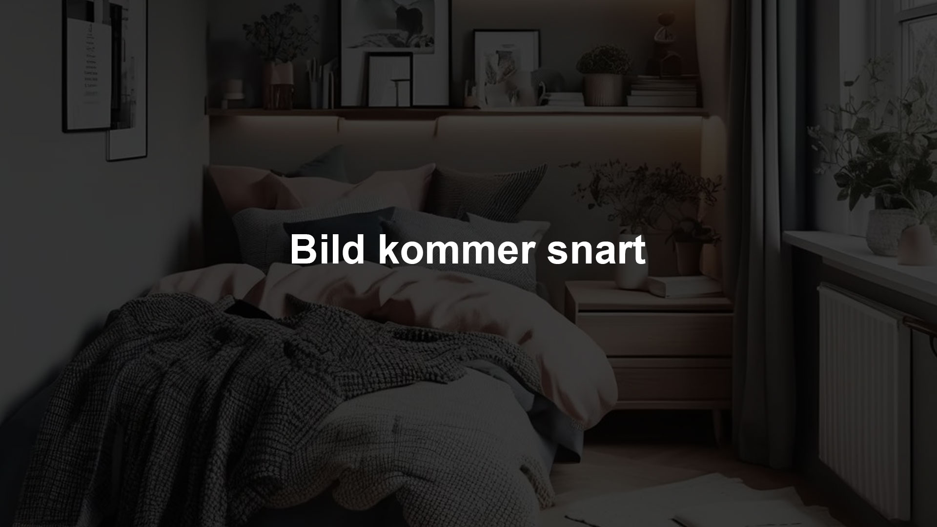 Enkelrum (Compact)